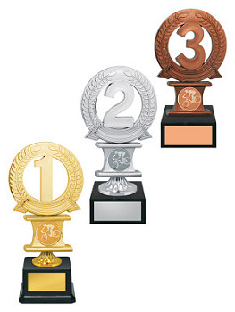 Приз наградной «1/2/3 место» - PS1035