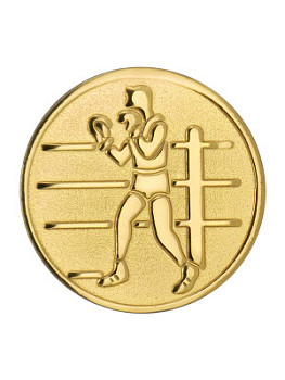 Вкладыш в медаль/ приз/ кубок - Эскиз-79